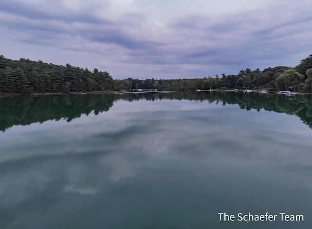 10436 Morgan Mills Ave NE, Greenville, MI 48838 - water view with a heavily wooded area