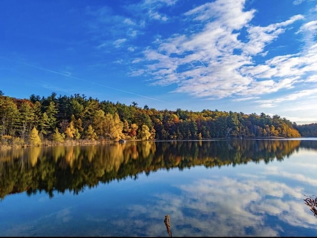 10436 Morgan Mills Ave NE, Greenville, MI 48838 - water view with a heavily wooded area
