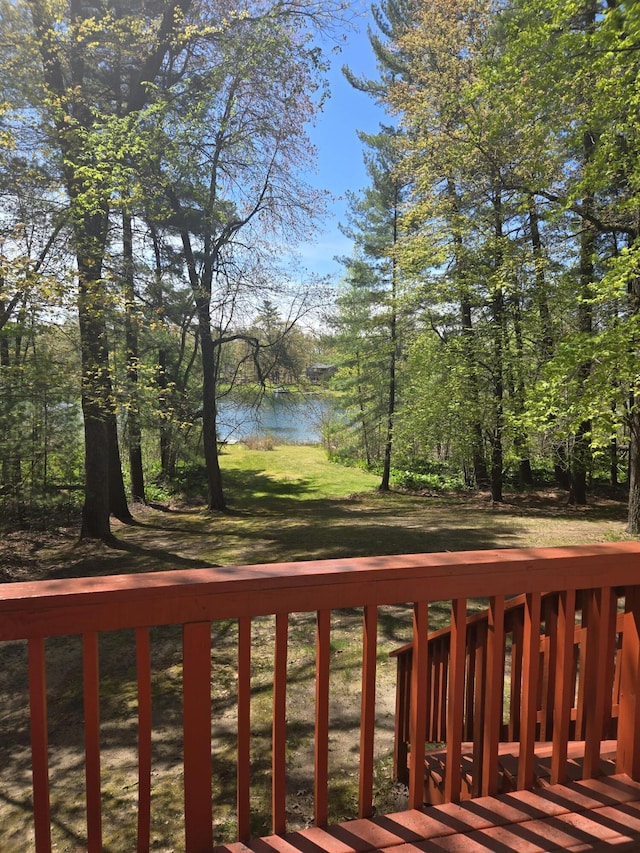 10436 Morgan Mills Ave NE, Greenville, MI 48838 - water view
