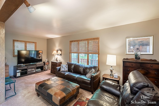 10436 Morgan Mills Ave NE, Greenville, MI 48838 - view of carpeted living room