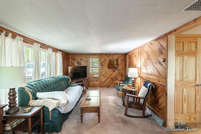 10436 Morgan Mills Ave NE, Greenville, MI 48838 - living area with plenty of natural light, carpet flooring, and wooden walls