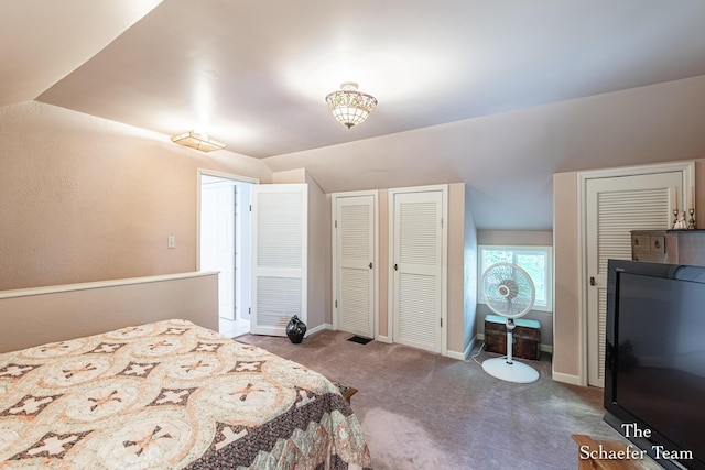 10436 Morgan Mills Ave NE, Greenville, MI 48838 - carpeted bedroom featuring multiple closets, lofted ceiling, and baseboards