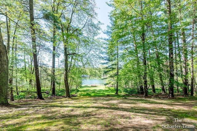 10436 Morgan Mills Ave NE, Greenville, MI 48838 - view of yard featuring a water view and a wooded view