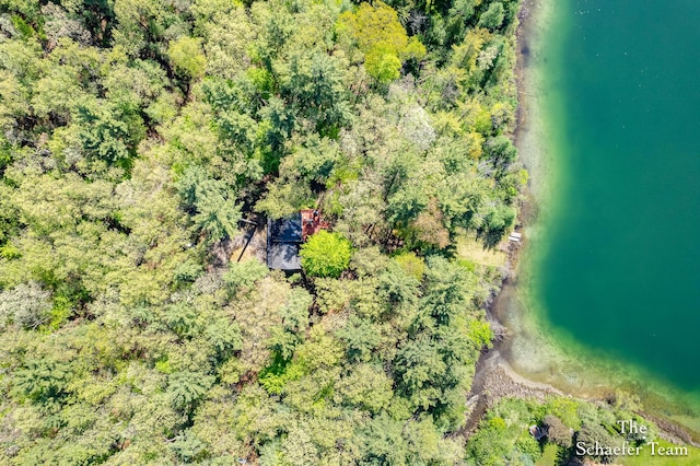 10436 Morgan Mills Ave NE, Greenville, MI 48838 - drone / aerial view of a nearby body of water