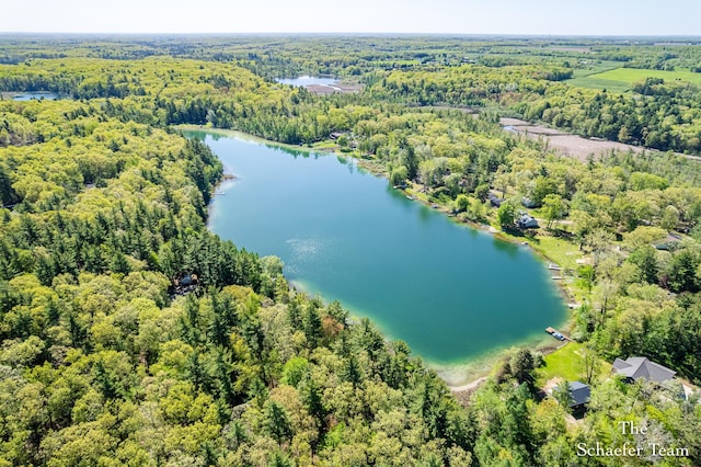 10436 Morgan Mills Ave NE, Greenville, MI 48838 - bird's eye view of a forest and a nearby body of water