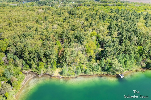 10436 Morgan Mills Ave NE, Greenville, MI 48838 - view of property location featuring a heavily wooded area and a large body of water