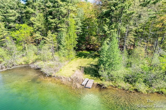 10436 Morgan Mills Ave NE, Greenville, MI 48838 - drone / aerial view