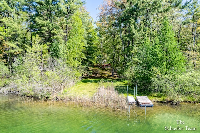 10436 Morgan Mills Ave NE, Greenville, MI 48838 - view of dock