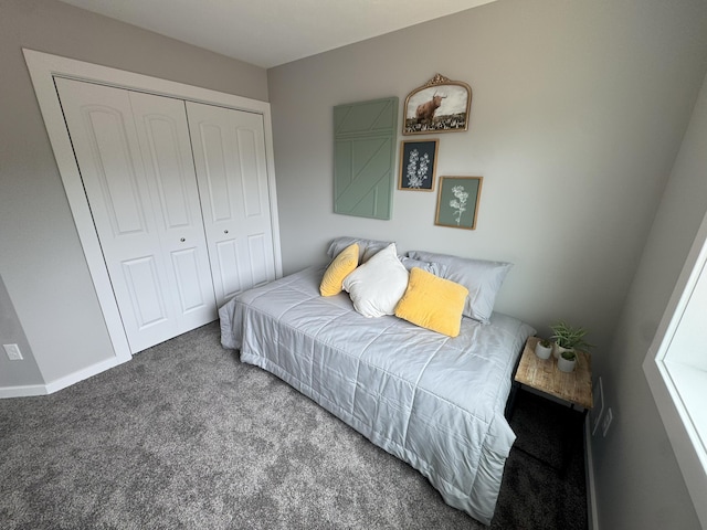 887 Rex St, Fremont, MI 49412 - carpeted bedroom featuring a closet
