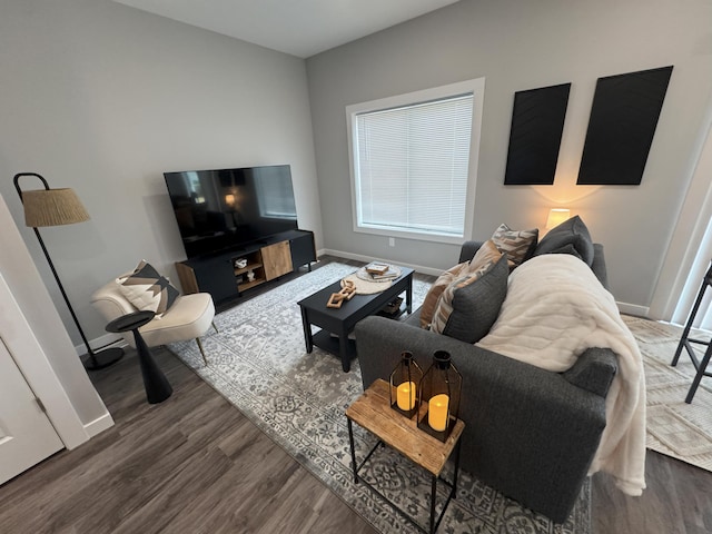 887 Rex St, Fremont, MI 49412 - living room with wood finished floors and baseboards