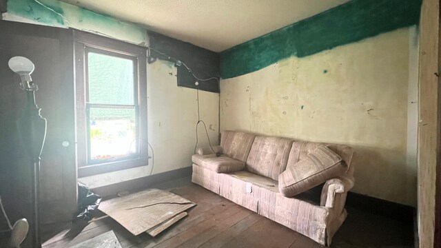 8059 N Wheeler Rd, Wheeler, MI 48662 - sitting room featuring healthy amount of natural light and hardwood / wood-style flooring