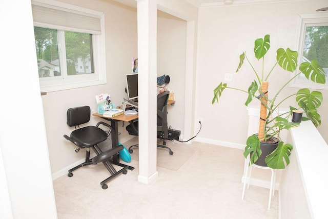 19610 Brentwood St, Livonia, MI 48152 - carpeted office space with healthy amount of natural light, baseboards, and ornamental molding