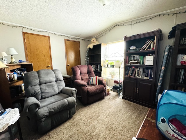 1950 S 13th St Lot 229, Niles, MI 49120 - living room featuring a textured ceiling and lofted ceiling