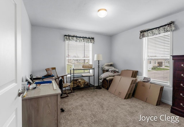 4755 Boulder Dr, Holland, MI 49423 - office with carpet