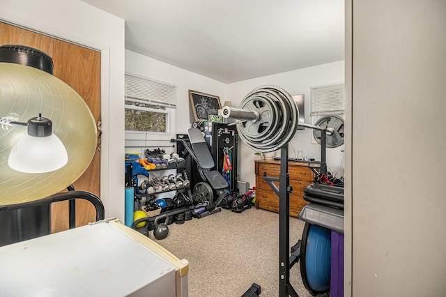 exercise area with carpet floors