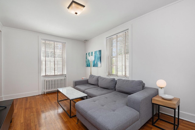 1950 Robinson Rd SE, East Grand Rapids, MI 49506 - living room featuring radiator heating unit, hardwood / wood-style flooring, baseboards, and crown molding