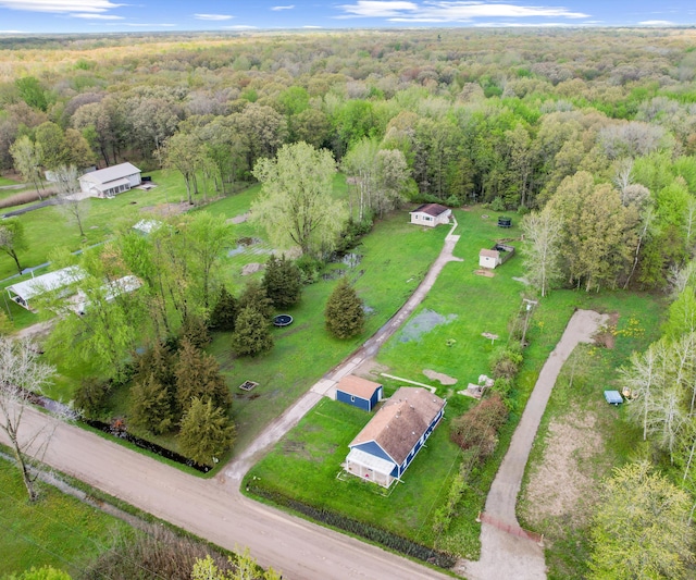 24108 Martinsville Rd, Belleville, MI 48111 - drone / aerial view of a forest