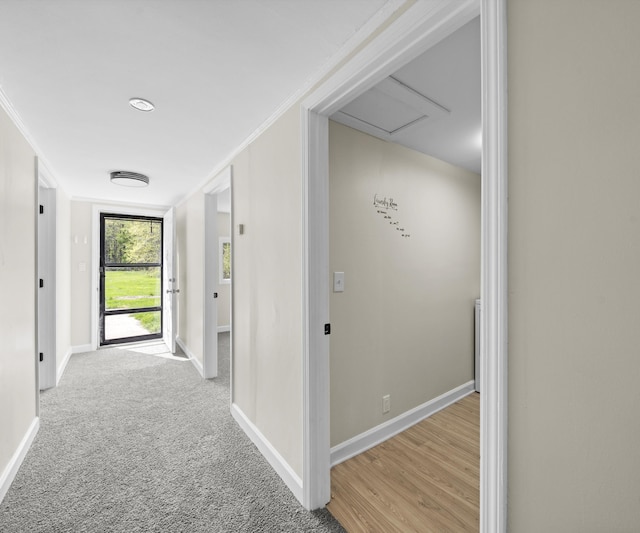 24108 Martinsville Rd, Belleville, MI 48111 - hall with baseboards, ornamental molding, and attic access