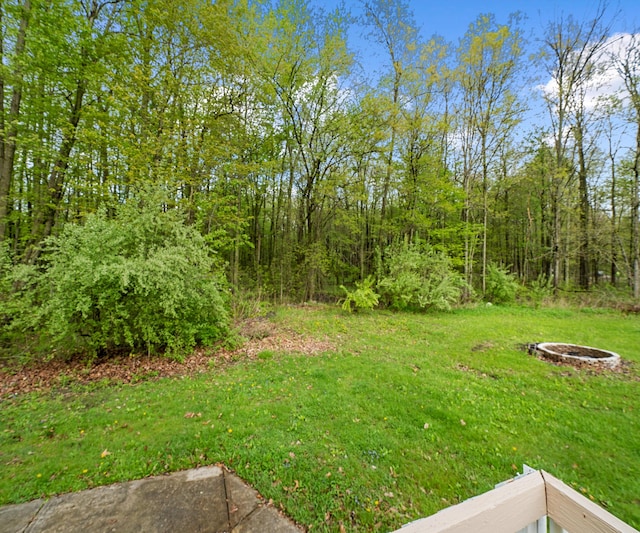 24108 Martinsville Rd, Belleville, MI 48111 - view of green lawn featuring an outdoor fire pit