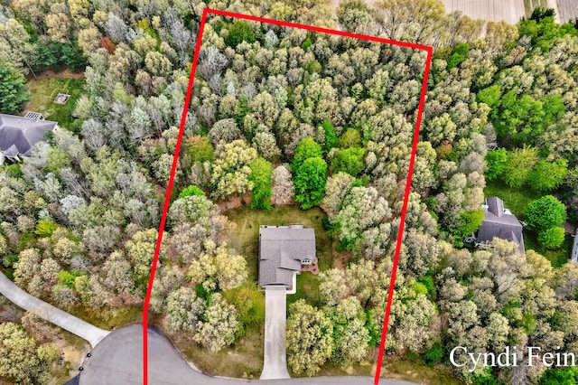 2970 Braden Blvd, Dorr, MI 49323 - aerial view of property and surrounding area with property boundaries highlighted
