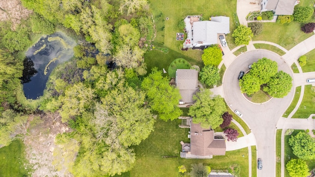 drone / aerial view