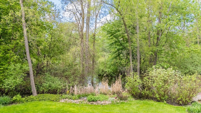 view of grassy yard featuring a wooded view
