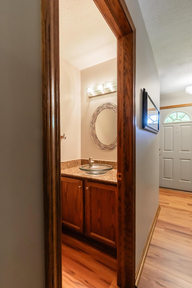 bathroom featuring wood finished floors and vanity