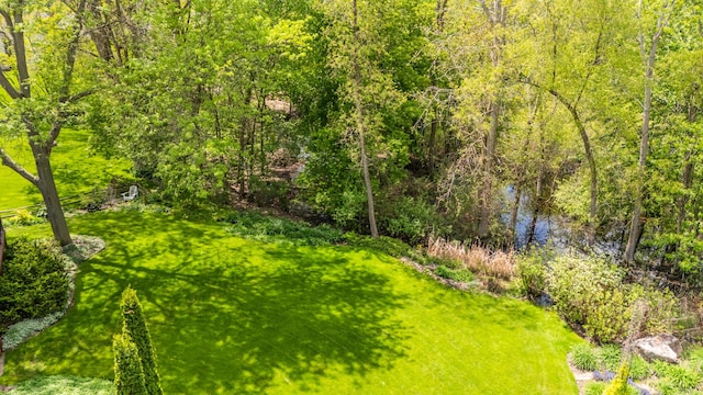 view of green lawn