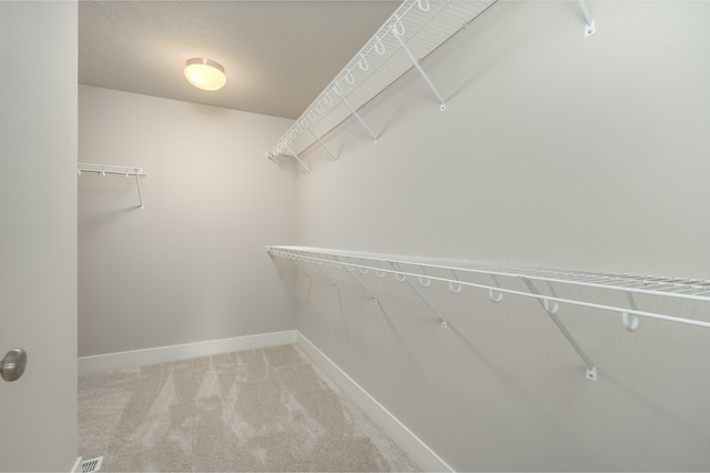 walk in closet featuring carpet flooring