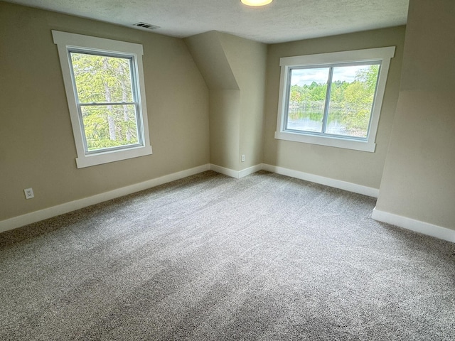 928 Lincoln St, Grand Rapids, MI 49534 - additional living space featuring baseboards, carpet flooring, and a textured ceiling