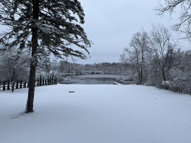 928 Lincoln St, Grand Rapids, MI 49534 - snowy yard with a forest view and a water view
