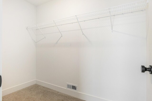 6182 Longhorn Trl, Stevensville, MI 49127 - spacious closet with light carpet