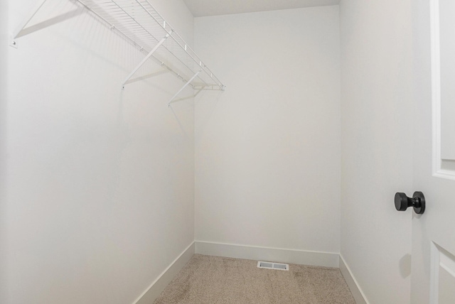 6182 Longhorn Trl, Stevensville, MI 49127 - walk in closet featuring light colored carpet