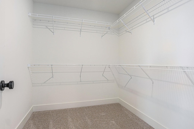 6182 Longhorn Trl, Stevensville, MI 49127 - walk in closet with carpet
