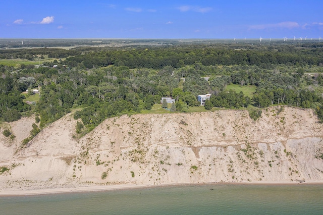 2177 S Lakeshore Dr, Ludington, MI 49431 - aerial overview of property's location with a heavily wooded area and a large body of water