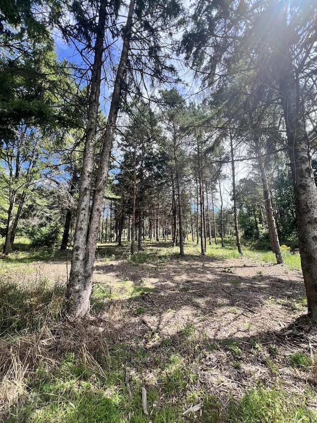 2177 S Lakeshore Dr, Ludington, MI 49431 - view of nature