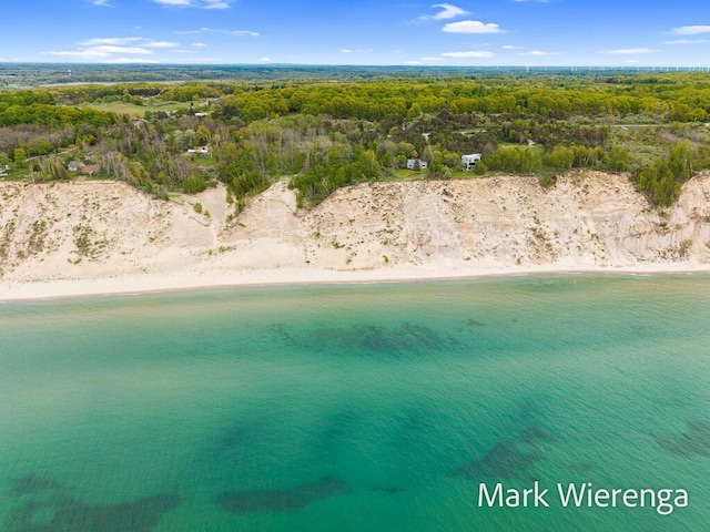 2177 S Lakeshore Dr, Ludington, MI 49431 - drone / aerial view of unending shoreline and a forest