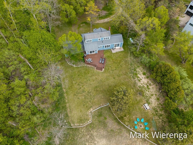 2177 S Lakeshore Dr, Ludington, MI 49431 - aerial view of property and surrounding area