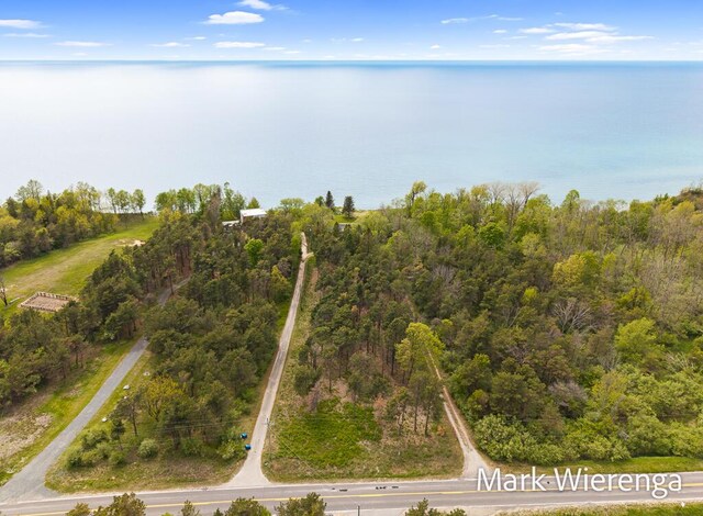 2177 S Lakeshore Dr, Ludington, MI 49431 - aerial view of property and surrounding area with a large body of water and a forest
