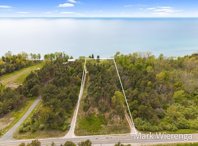 2177 S Lakeshore Dr, Ludington, MI 49431 - view of property location with property parcel outlined, a large body of water, and a forest