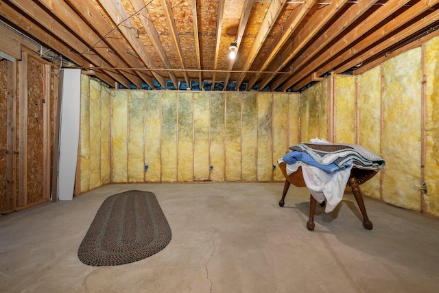view of unfinished basement