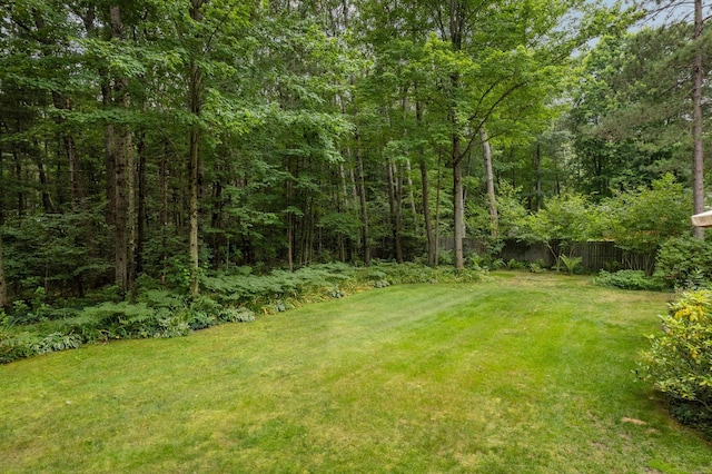 view of yard featuring a wooded view
