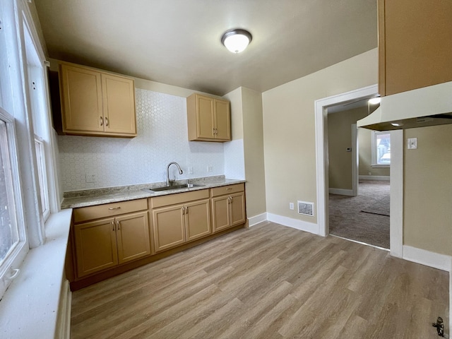 16254 Monica St, Detroit, MI 48221 - kitchen featuring a sink, light wood-style floors, backsplash, and baseboards