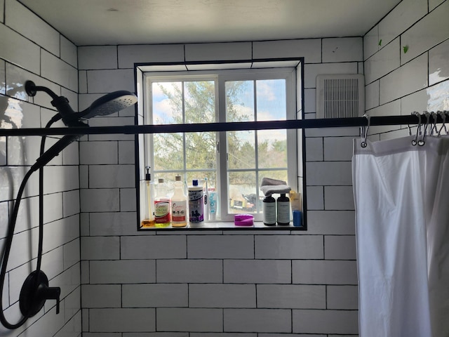 13851 Hillsdale Rd, Camden, MI 49232 - full bathroom with a tile shower