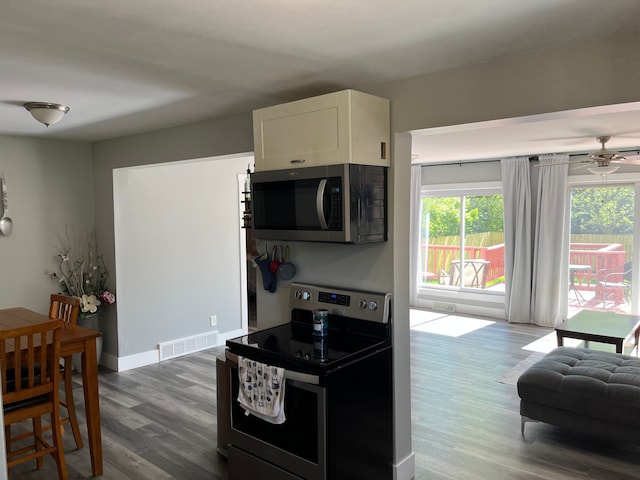 kitchen with stainless steel appliances, plenty of natural light, wood finished floors, and a ceiling fan