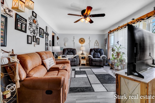 living area featuring a ceiling fan and wood finished floors
