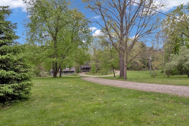 3118 Pratt Ln, Attica, MI 48412 - view of grassy yard