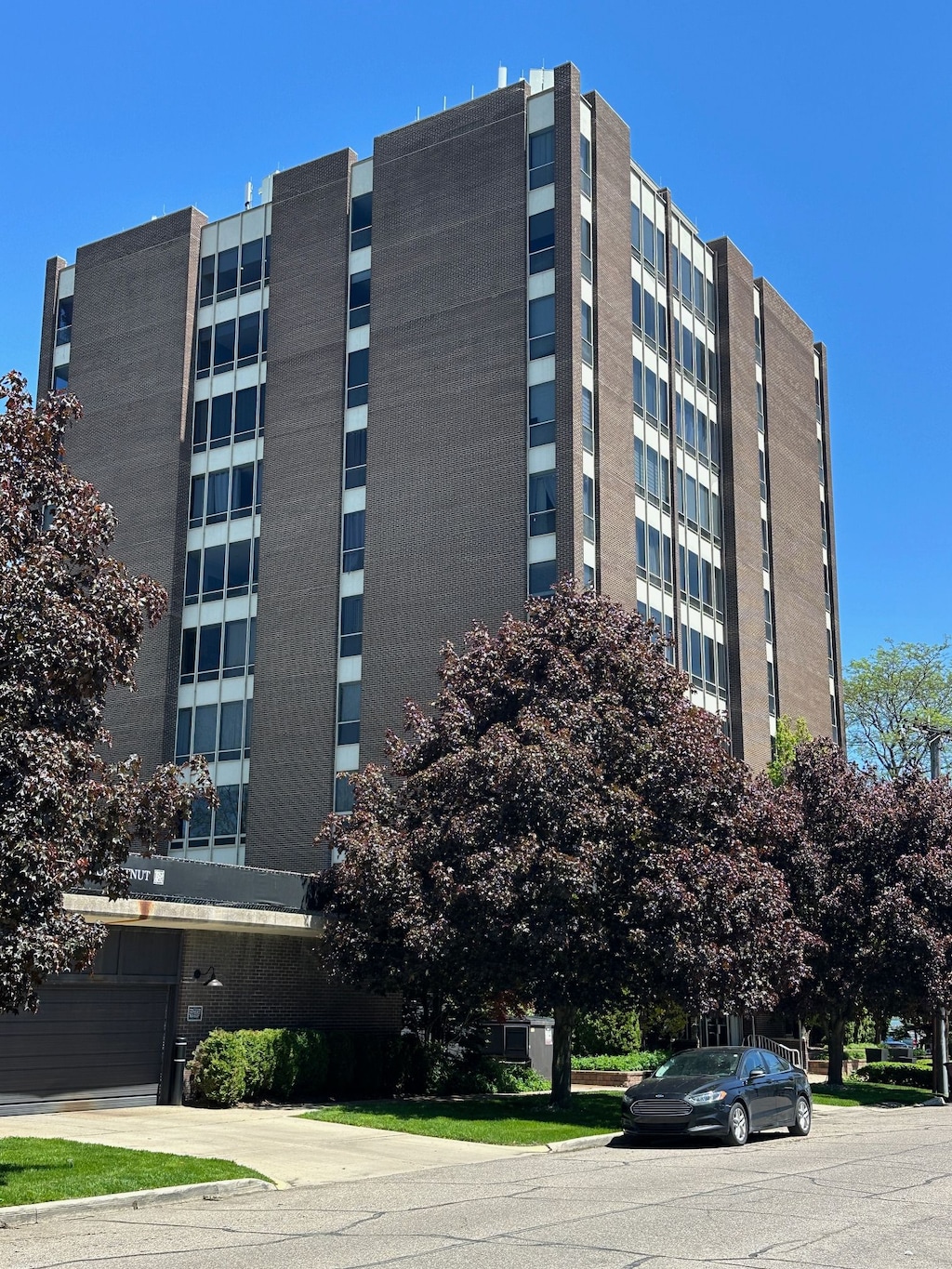 20 Chestnut Street 401 & 408, Wyandotte, MI 48192 - photo 1