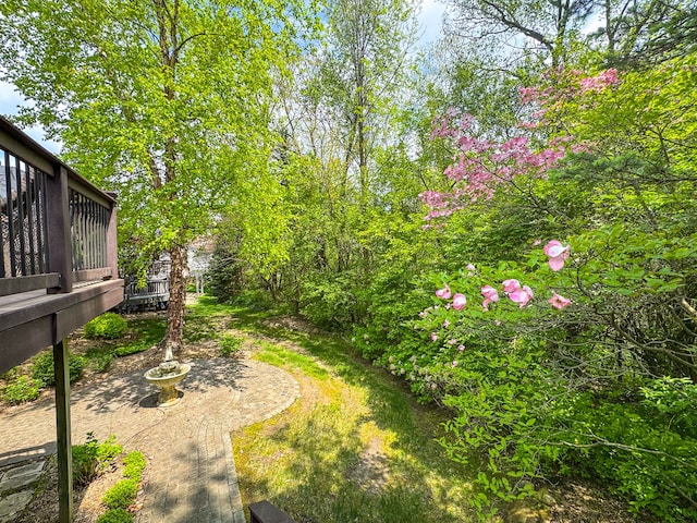 3123 Fairgrove Ter, Rochester Hills, MI 48309 - view of yard
