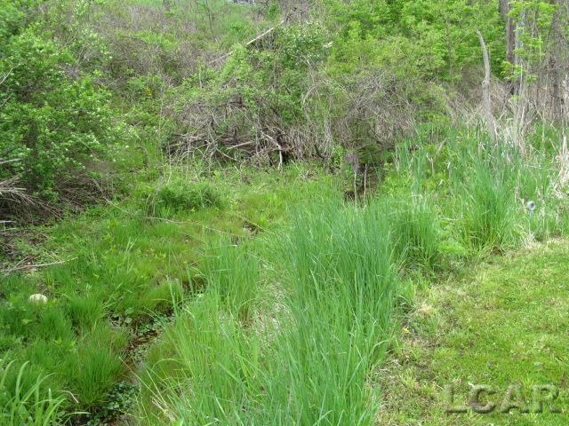 10320 Springville Hwy, Onsted, MI 49265 - view of nature